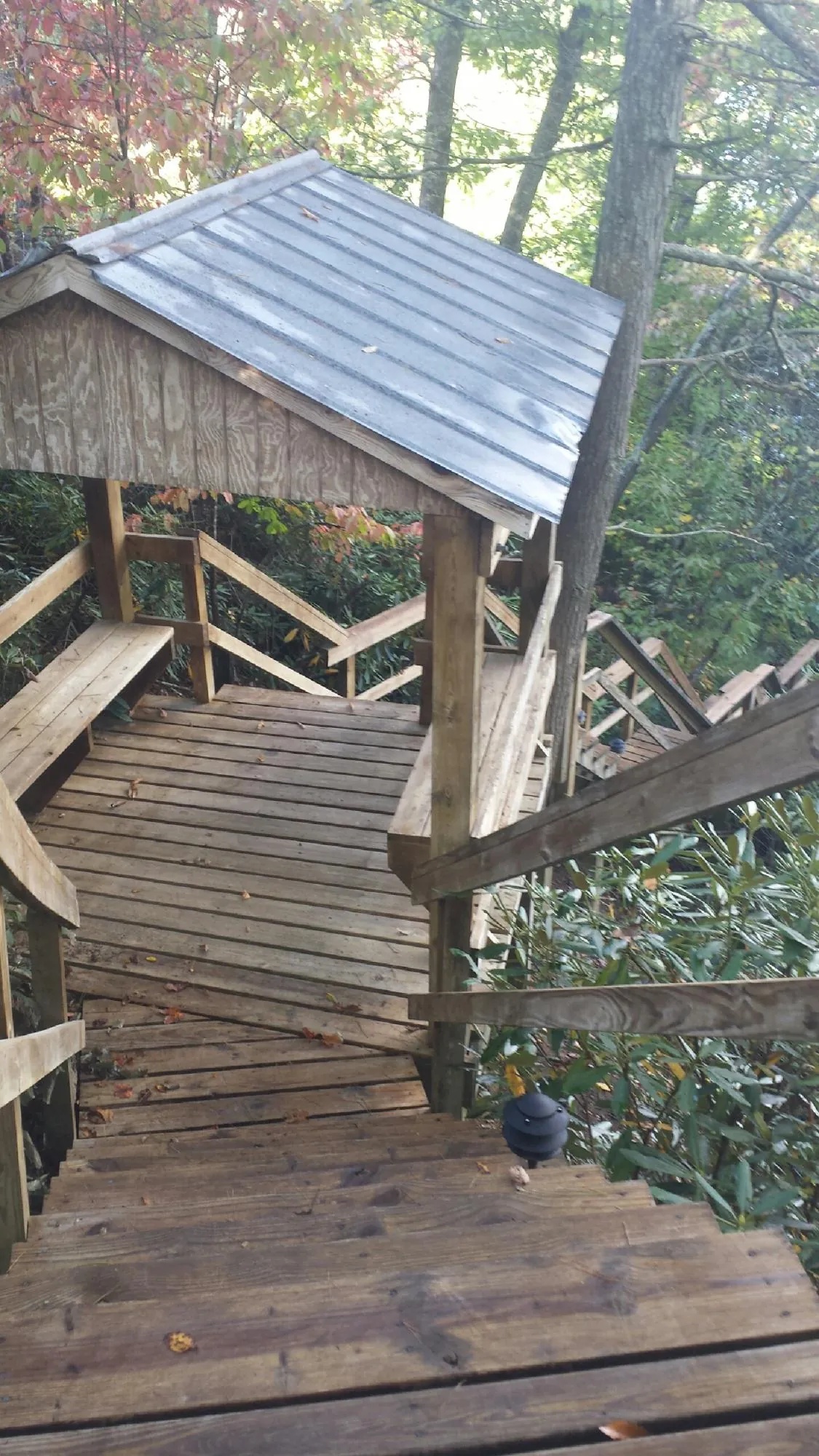 Metal roofed shelter over wooden steps on a wooded walkway — Skylight Repair & Installation work by our crew in Pullman