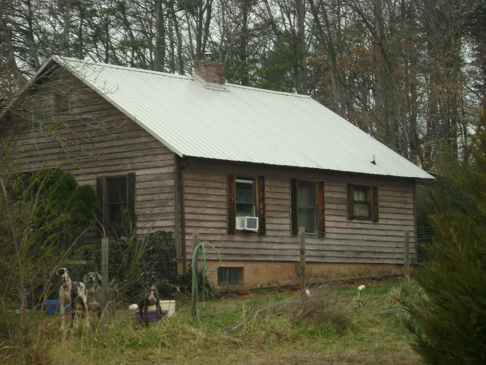 White metal roof on an old wood sided farmhouse, from a Asphalt Shingle Roof Repair job in Pullman